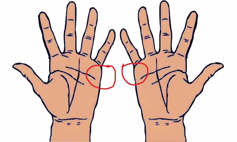 Learn Palmistry in simple language