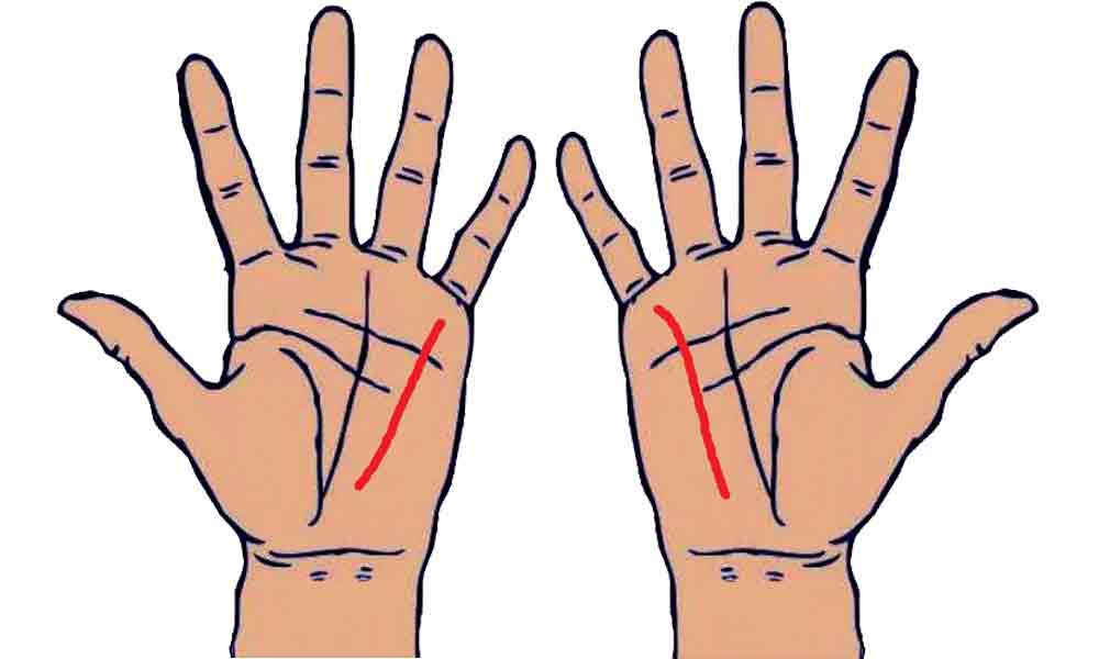 Learn Palmistry in simple language
