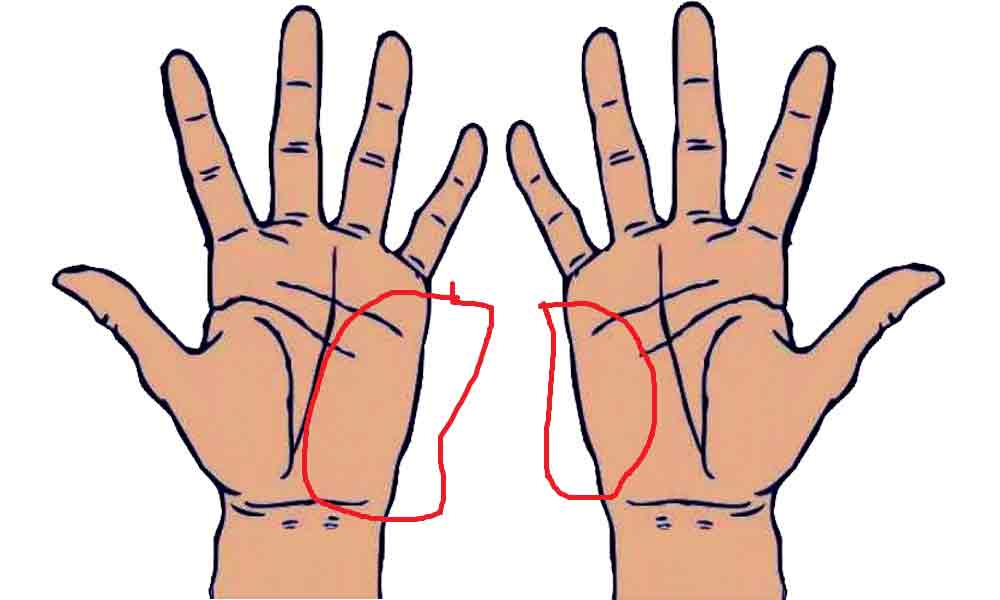 Learn Palmistry in simple language